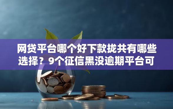 网贷平台哪个好下款拢共有哪些选择？9个征信黑没逾期平台可以贷到钱详解