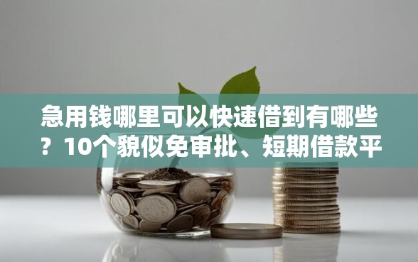 急用钱哪里可以快速借到有哪些？10个貌似免审批、短期借款平台30天不看征信合集