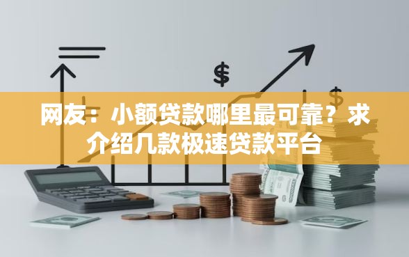 网友：小额贷款哪里最可靠？求介绍几款极速贷款平台