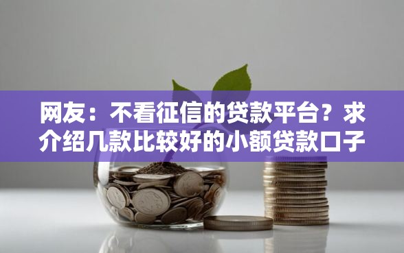 网友：不看征信的贷款平台？求介绍几款比较好的小额贷款口子