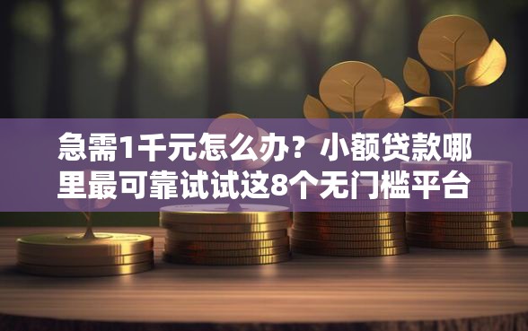 急需1千元怎么办？小额贷款哪里最可靠试试这8个无门槛平台