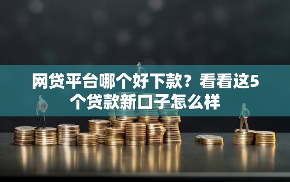 网贷平台哪个好下款？看看这5个贷款新口子怎么样