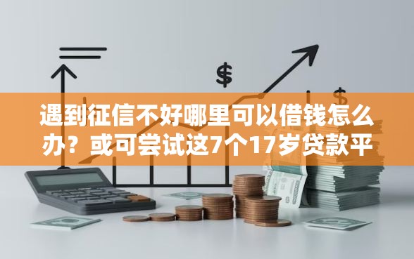 遇到征信不好哪里可以借钱怎么办？或可尝试这7个17岁贷款平台秒到账