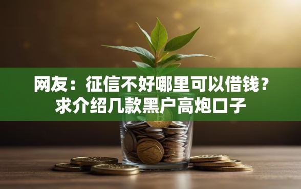 网友：征信不好哪里可以借钱？求介绍几款黑户高炮口子