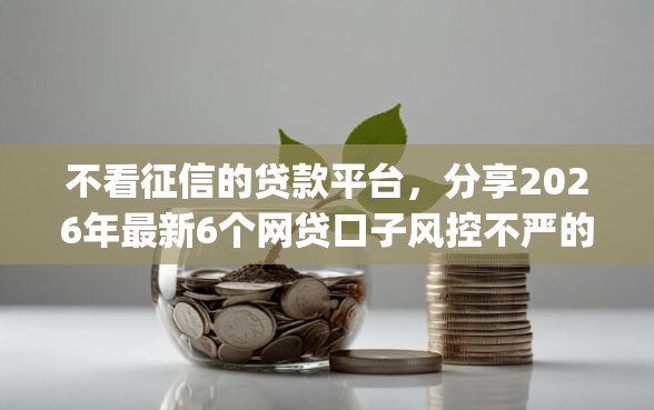不看征信的贷款平台，分享2026年最新6个网贷口子风控不严的app