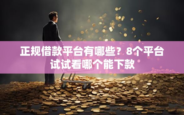 正规借款平台有哪些？8个平台试试看哪个能下款