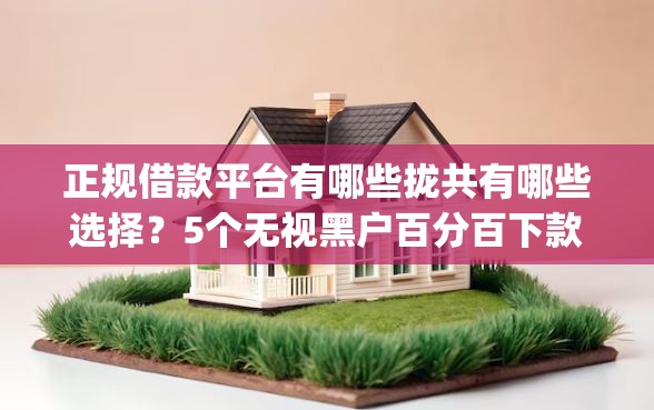 正规借款平台有哪些拢共有哪些选择?5个无视黑户百分百下款app详解 正规借款平台有哪些拢共有哪些选择?5个无视黑户百分百下款app详解