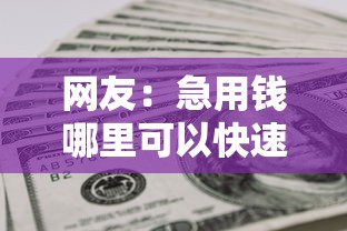 网友：急用钱哪里可以快速借到？求介绍几款不算查询征信次数的平台