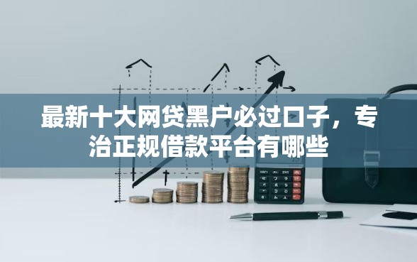 最新十大网贷黑户必过口子，专治正规借款平台有哪些