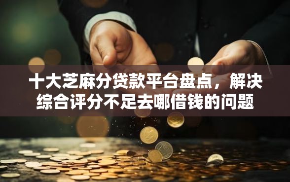 十大芝麻分贷款平台盘点，解决综合评分不足去哪借钱的问题