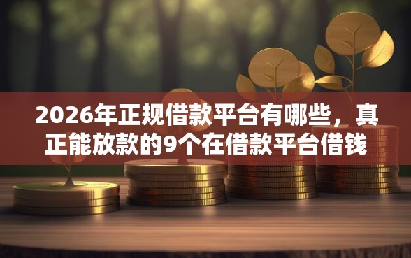 2026年正规借款平台有哪些，真正能放款的9个在借款平台借钱安全推荐