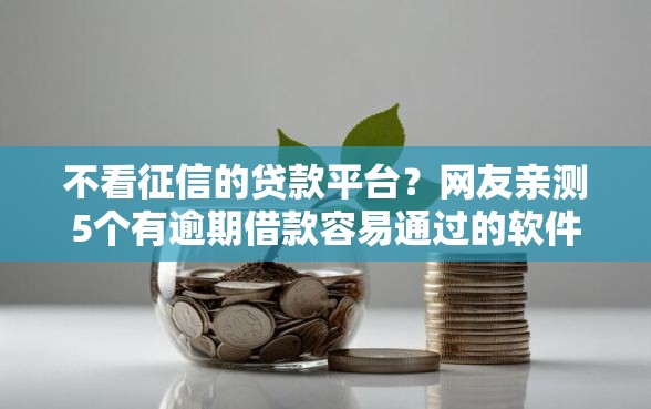 不看征信的贷款平台?网友亲测5个有逾期借款容易通过的软件盘点 不看征信的贷款平台?网友亲测5个有逾期借款容易通过的软件盘点