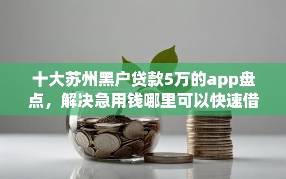 十大苏州黑户贷款5万的app盘点,解决急用钱哪里可以快速借到的问题 十大苏州黑户贷款5万的app盘点,解决急用钱哪里可以快速借到的问题