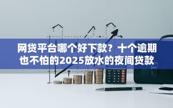 网贷平台哪个好下款？十个逾期也不怕的2025放水的夜间贷款口子