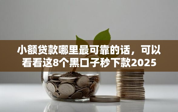 小额贷款哪里最可靠的话，可以看看这8个黑口子秒下款2025