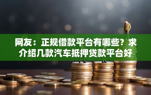 网友：正规借款平台有哪些？求介绍几款汽车抵押贷款平台好