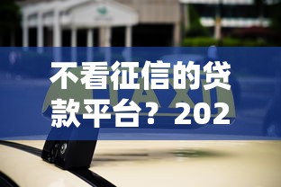 不看征信的贷款平台？2026最新测评10个不需征信的贷款平台