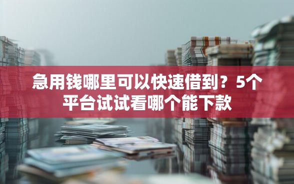 急用钱哪里可以快速借到？5个平台试试看哪个能下款