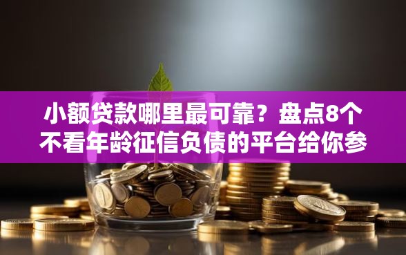 小额贷款哪里最可靠?盘点8个不看年龄征信负债的平台给你参考 小额贷款哪里最可靠?盘点8个不看年龄征信负债的平台给你参考