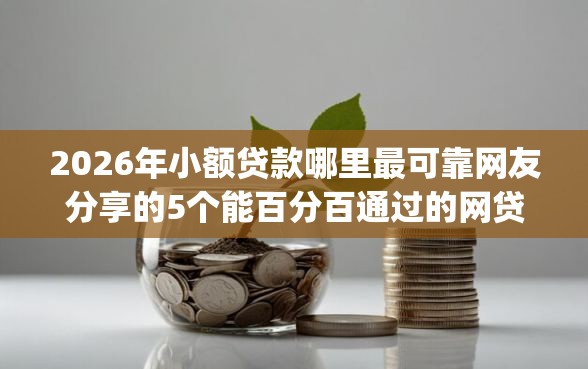 2026年小额贷款哪里最可靠网友分享的5个能百分百通过的网贷app我觉得不错! 2026年小额贷款哪里最可靠网友分享的5个能百分百通过的网贷app我觉得不错!