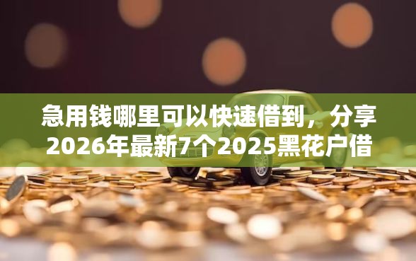 急用钱哪里可以快速借到,分享2026年最新7个2025黑花户借款平台 急用钱哪里可以快速借到,分享2026年最新7个2025黑花户借款平台