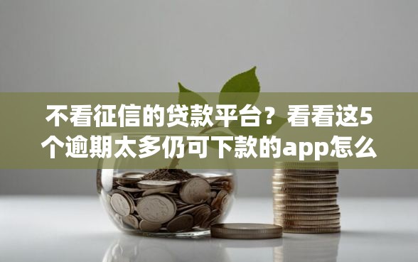 不看征信的贷款平台？看看这5个逾期太多仍可下款的app怎么样