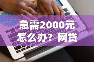急需2000元怎么办?网贷平台哪个好下款试试这5个无门槛平台 急需2000元怎么办?网贷平台哪个好下款试试这5个无门槛平台