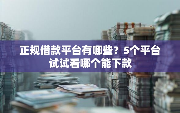 正规借款平台有哪些？5个平台试试看哪个能下款