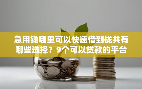 急用钱哪里可以快速借到拢共有哪些选择？9个可以贷款的平台详解
