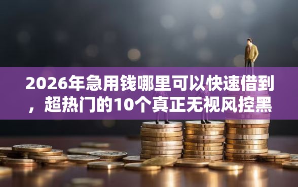 2026年急用钱哪里可以快速借到，超热门的10个真正无视风控黑白的网贷平台推荐