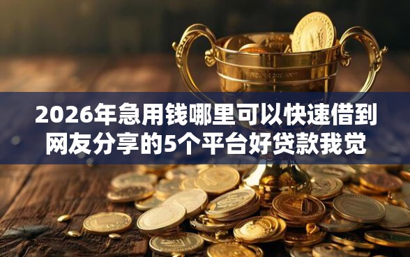 2026年急用钱哪里可以快速借到网友分享的5个平台好贷款我觉得不错！