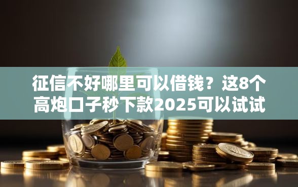 征信不好哪里可以借钱?这8个高炮口子秒下款2025可以试试 征信不好哪里可以借钱?这8个高炮口子秒下款2025可以试试