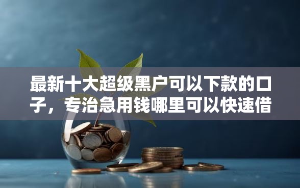 最新十大超级黑户可以下款的口子，专治急用钱哪里可以快速借到