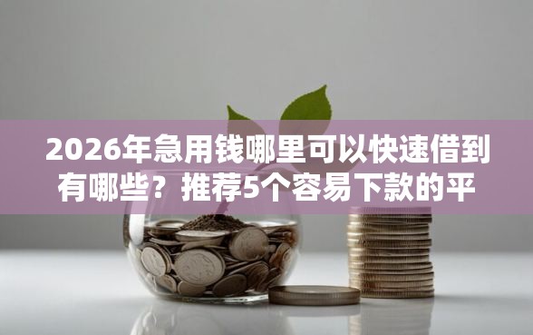 2026年急用钱哪里可以快速借到有哪些？推荐5个容易下款的平台