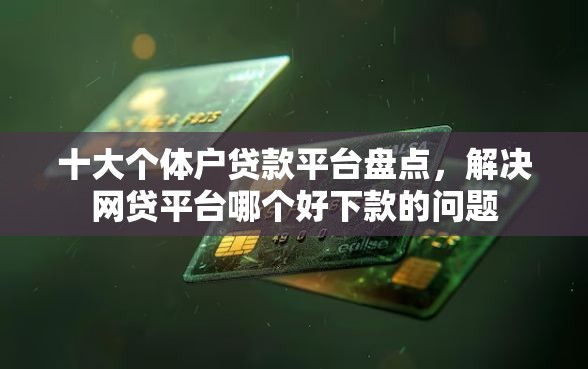 十大个体户贷款平台盘点,解决网贷平台哪个好下款的问题 十大个体户贷款平台盘点,解决网贷平台哪个好下款的问题