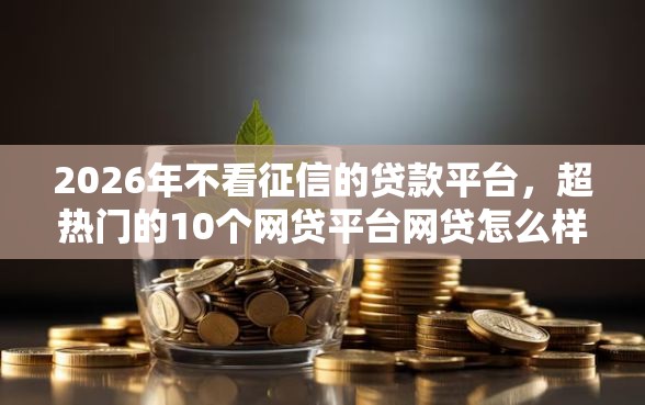 2026年不看征信的贷款平台，超热门的10个网贷平台网贷怎么样推荐