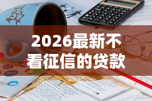 2026最新不看征信的贷款平台,总结十个16岁贷款平台! 2026最新不看征信的贷款平台,总结十个16岁贷款平台!