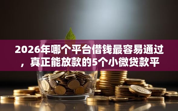 2026年哪个平台借钱最容易通过,真正能放款的5个小微贷款平台推荐 2026年哪个平台借钱最容易通过,真正能放款的5个小微贷款平台推荐