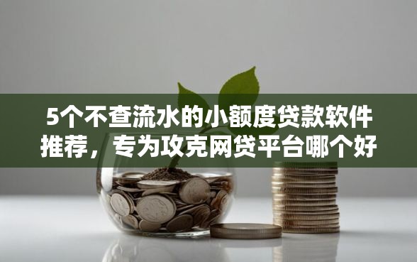 5个不查流水的小额度贷款软件推荐，专为攻克网贷平台哪个好下款难题