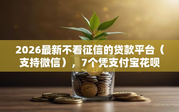 2026最新不看征信的贷款平台（支持微信），7个凭支付宝花呗贷款的平台无私分享