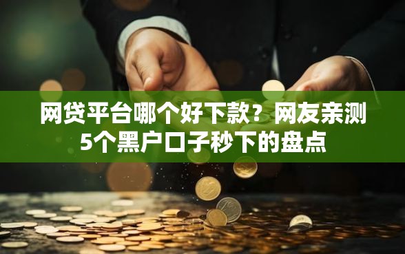 网贷平台哪个好下款?网友亲测5个黑户口子秒下的盘点 网贷平台哪个好下款?网友亲测5个黑户口子秒下的盘点
