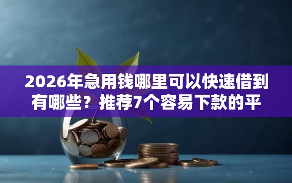 2026年急用钱哪里可以快速借到有哪些？推荐7个容易下款的平台