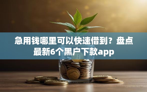 急用钱哪里可以快速借到？盘点最新6个黑户下款app