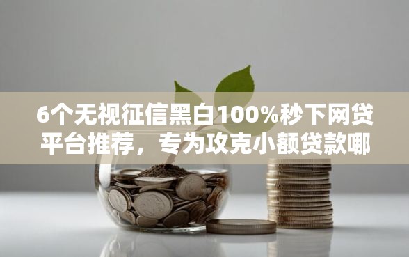 6个无视征信黑白100%秒下网贷平台推荐，专为攻克小额贷款哪里最可靠难题
