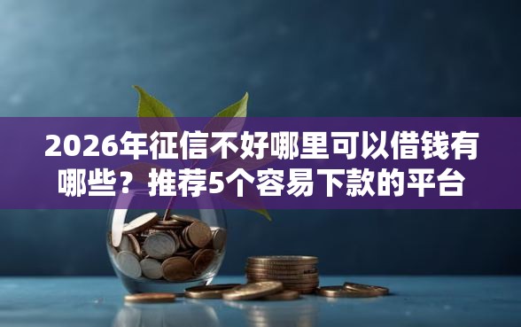 2026年征信不好哪里可以借钱有哪些？推荐5个容易下款的平台