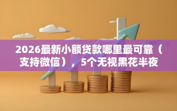 2026最新小额贷款哪里最可靠（支持微信），5个无视黑花半夜下款的网贷平台无私分享