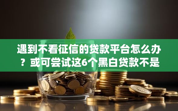 遇到不看征信的贷款平台怎么办？或可尝试这6个黑白贷款不是高炮的app