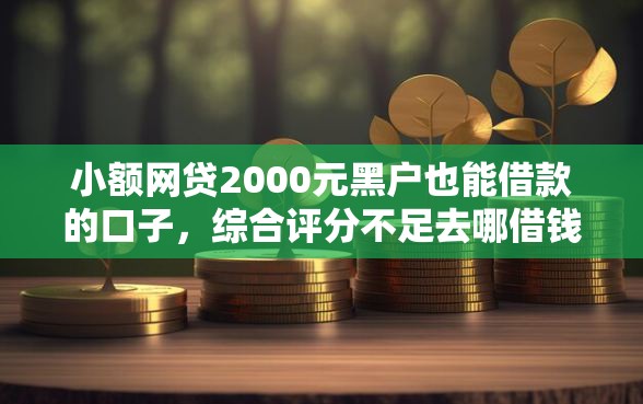小额网贷2000元黑户也能借款的口子，综合评分不足去哪借钱的7个平台介绍
