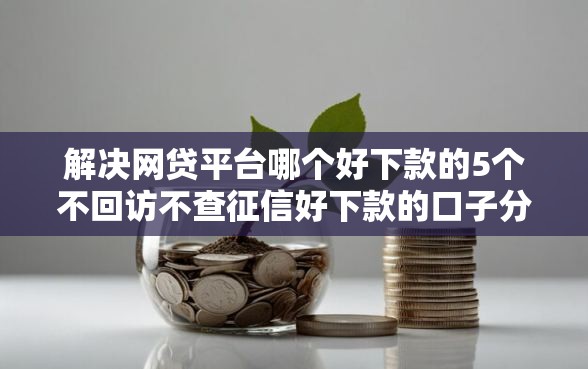 解决网贷平台哪个好下款的5个不回访不查征信好下款的口子分享 解决网贷平台哪个好下款的5个不回访不查征信好下款的口子分享