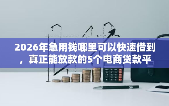2026年急用钱哪里可以快速借到，真正能放款的5个电商贷款平台推荐
